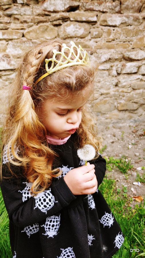 רומניה פסח 2019